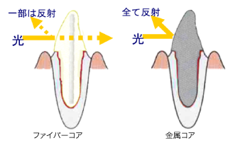 ippan_images_10