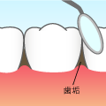 shisyu_images_4